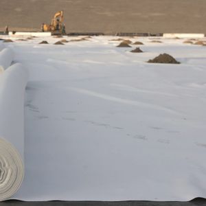 Needle punching for geotextiles