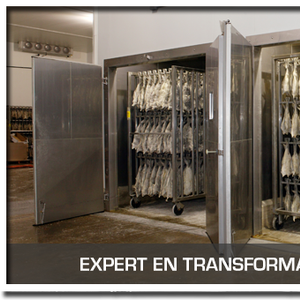 Transformateur Poisson