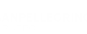 Company icon