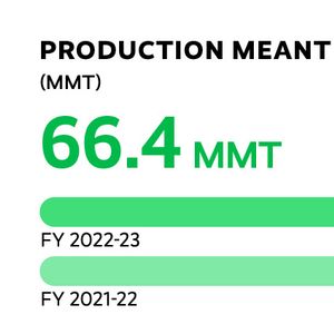 Production Meant for Sale
