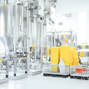 dairy ingredients