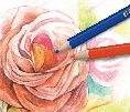 Watercolor Pencil