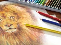 OIL COLOR PENCIL