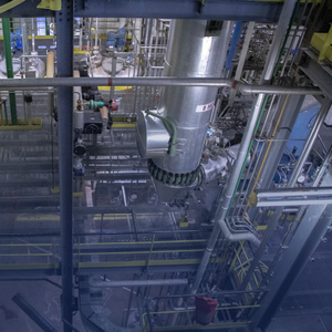 glyoxal and glyoxylic acid