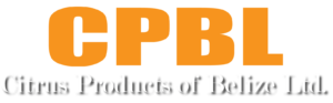 Company icon
