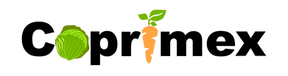 Company icon