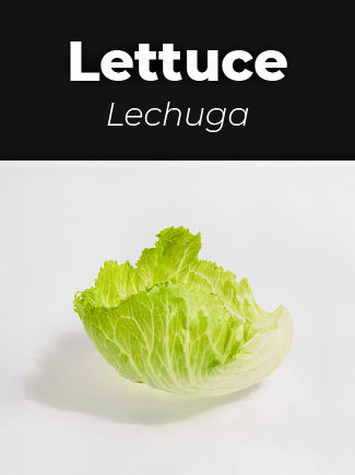 Lettuce