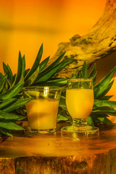 Frozen and Aseptic NFC Pineapple Juice