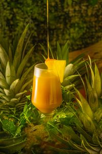 Frozen and Aseptic Concentrate Pineapple Juice