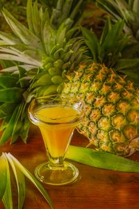 Frozen and Aseptic Pineapple Puree