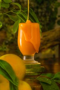 Frozen Concentrate Orange Juice