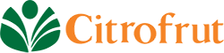 Company icon