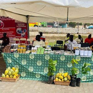 Cocoa beans and cocoa products