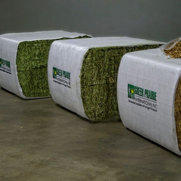 Pet food