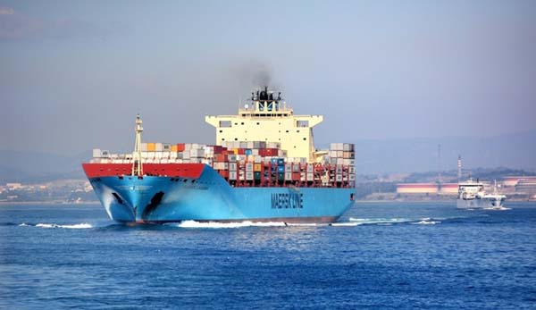 Blue World Line Cargo Transport