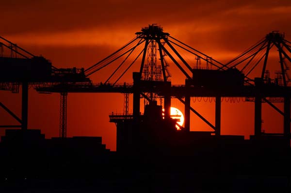 Blue World Line Ocean Freight Services