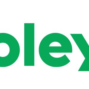Company icon
