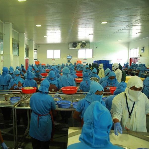 Frozen seafood products
