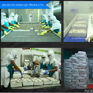 Frozen Seafood Products