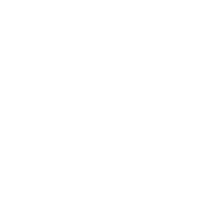 Company icon