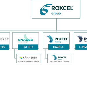 Roxcel Organisations Chart