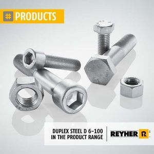 Duplex steel D 6-100