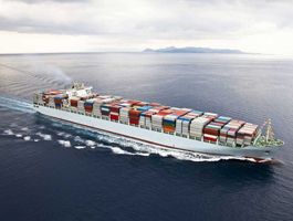 Container Liners