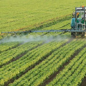 ExxonMobil white oils