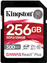 Canvas React Plus SD Memory Card