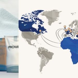whey and milk ingredients
