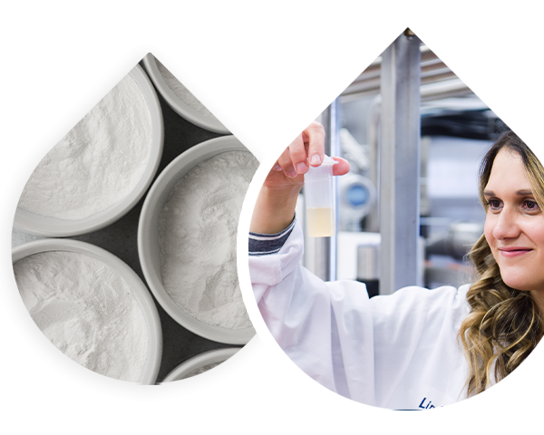whey protein