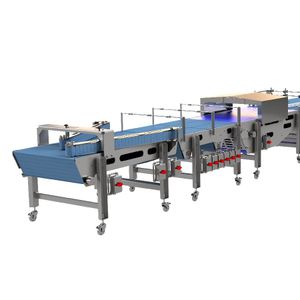 hygienic conveyors