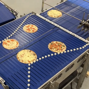 hygienic conveyors