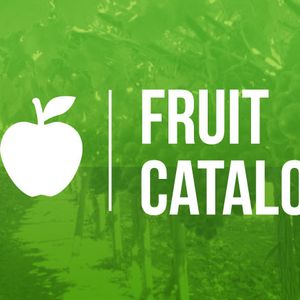 Fruit Catalog