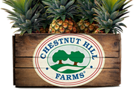 Company icon