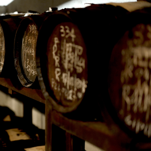 Balsamic Vinegar of Modena