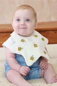 BIBS
