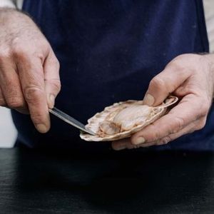 Oysters and shellfish