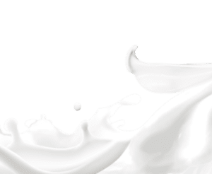 Company icon