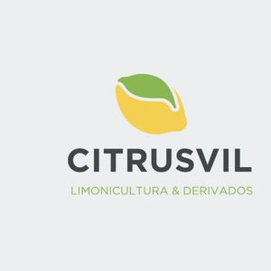 Company icon