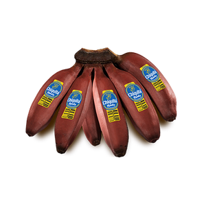 Chiquita Reds bananas