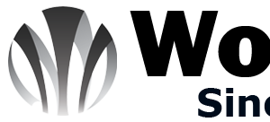 Company icon