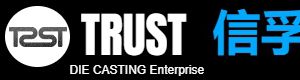 Company icon