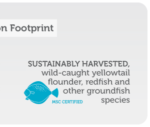 yellowtail flounder, redfish and other groundfish species