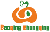 Company icon