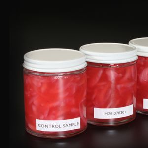 Pickled Vegetables