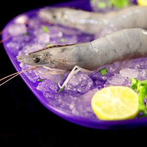 Black tiger shrimp