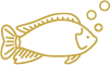Mojarra fresca