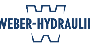 Company icon