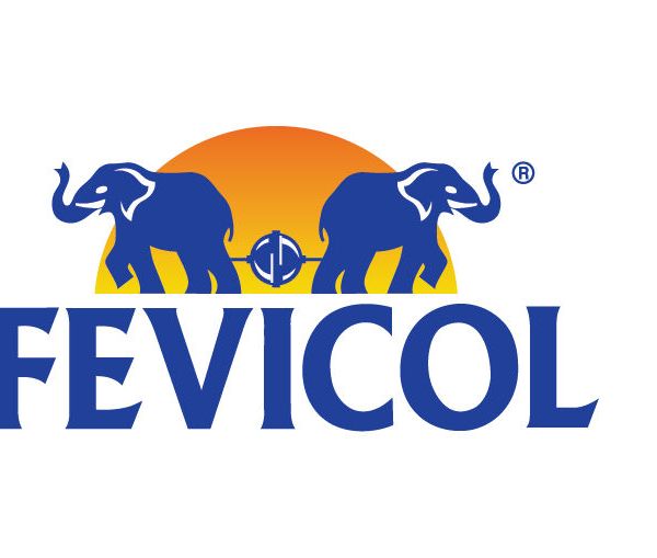 Fevicol